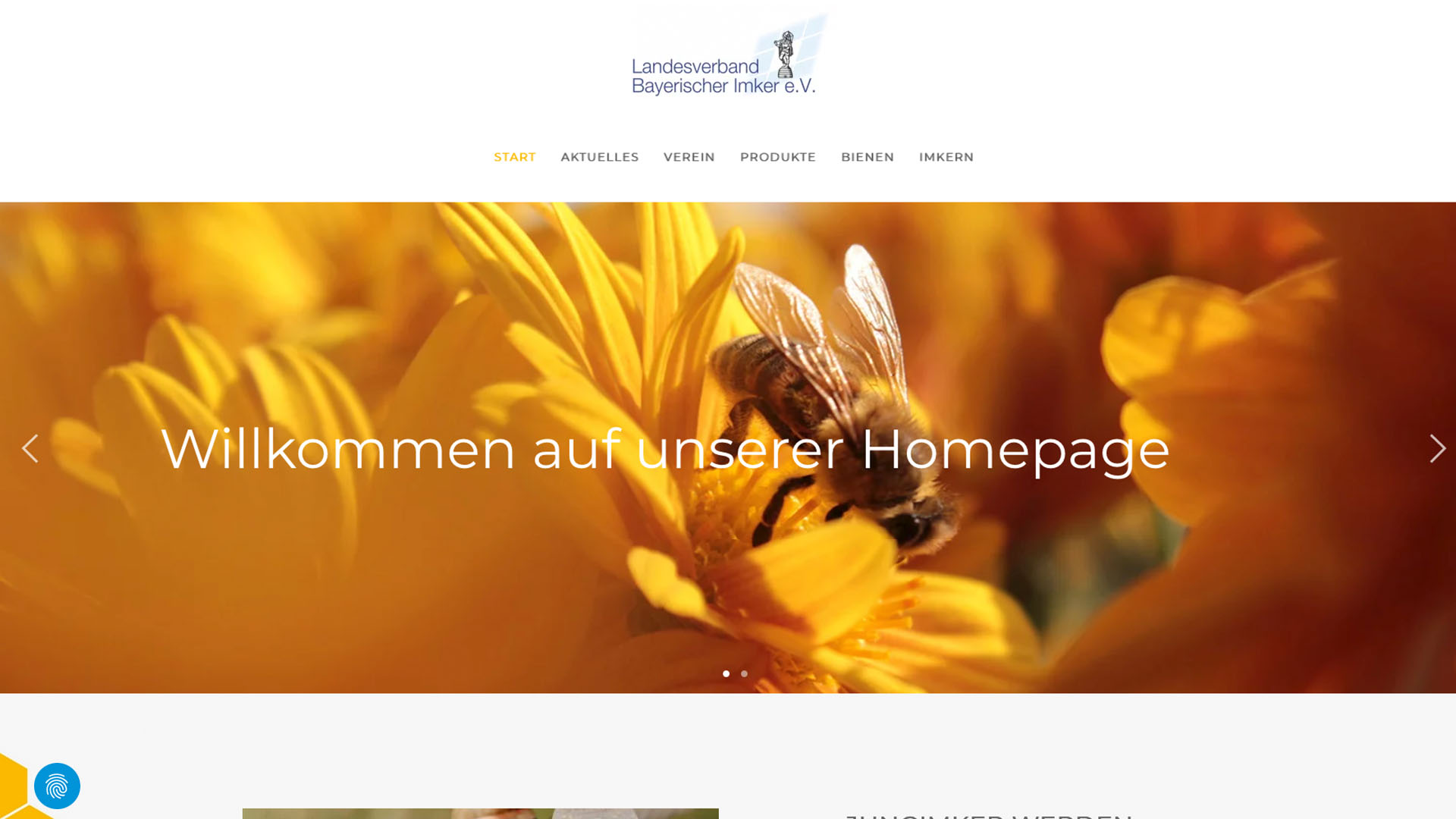 Webseite Imkerverein Günzburg